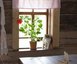 Small Casement Windows